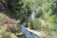 Querença & Fonte Benémola (Loulé)